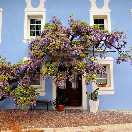 The Blue House Tolmin Exterior foto