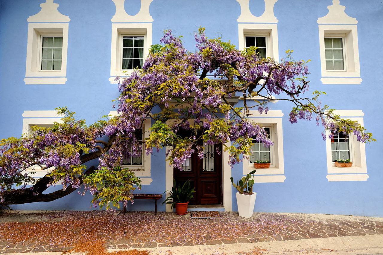 The Blue House Tolmin Exterior foto